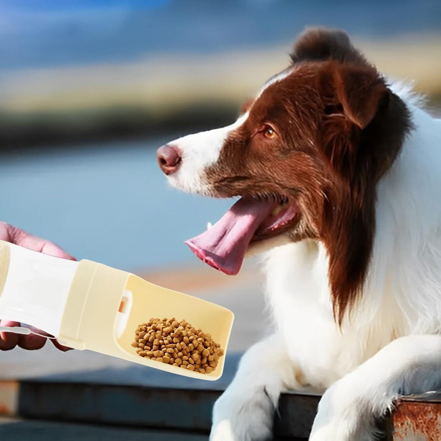 HydroPet™ - Hold din hund hydreret og mæt på farten