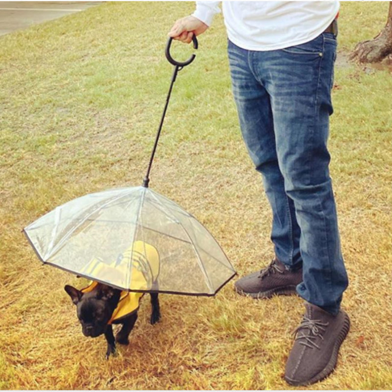 Pet Umbrella- Pawsome