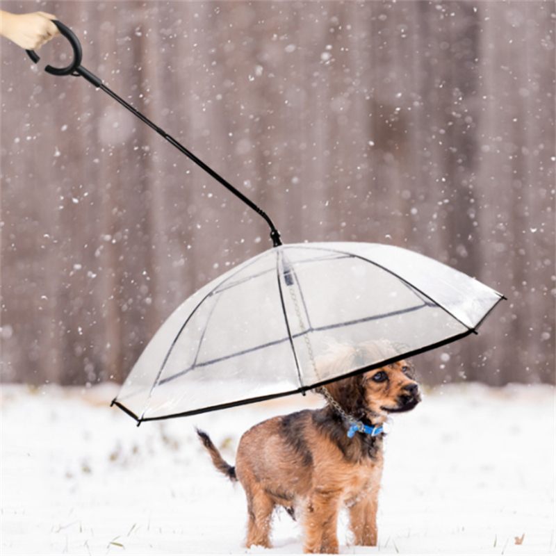 Pet Umbrella- Pawsome